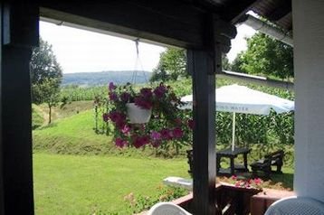 Pension de famille Oštarski Stanovi 3